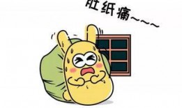 吃瓜群众小说,揭秘娱乐圈背后的秘密与真相