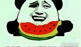 吃瓜表情是啥意思,网络热词背后的文化现象