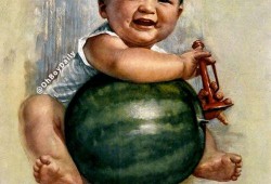 娱乐吃瓜图鉴在哪看,全网热门内容一键掌握