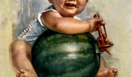 娱乐吃瓜图鉴在哪看,全网热门内容一键掌握