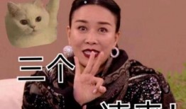 娱乐吃瓜酱emo歌,emo音乐中的青春共鸣与情感释放