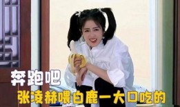 娱乐吃瓜直播白鹿,娱乐界新热点